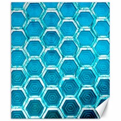 Hexagon Windows Canvas 20  X 24  by essentialimage