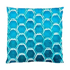 Hexagon Windows Standard Cushion Case (two Sides) by essentialimage