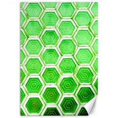 Hexagon Windows Canvas 12  X 18  by essentialimage