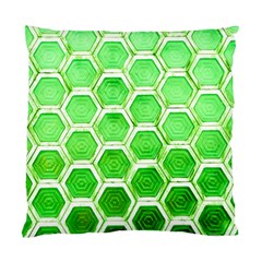 Hexagon Windows Standard Cushion Case (one Side) by essentialimage