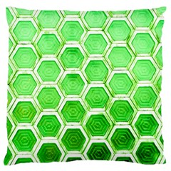 Hexagon Windows Standard Flano Cushion Case (one Side) by essentialimage