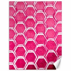 Hexagon Windows Canvas 12  X 16  by essentialimage