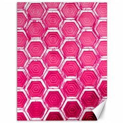 Hexagon Windows Canvas 36  X 48  by essentialimage