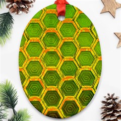 Hexagon Windows Ornament (oval) by essentialimage