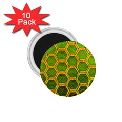 Hexagon Windows 1 75  Magnets (10 Pack)  by essentialimage