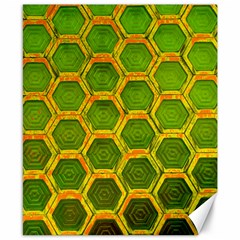 Hexagon Windows Canvas 8  X 10  by essentialimage