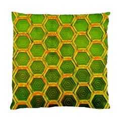 Hexagon Windows Standard Cushion Case (one Side) by essentialimage