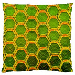 Hexagon Windows Large Cushion Case (one Side) by essentialimage