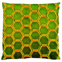 Hexagon Windows Standard Flano Cushion Case (two Sides) by essentialimage