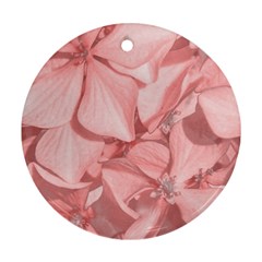 Coral Colored Hortensias Floral Photo Round Ornament (two Sides) by dflcprintsclothing