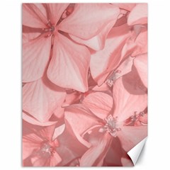 Coral Colored Hortensias Floral Photo Canvas 18  X 24  by dflcprintsclothing