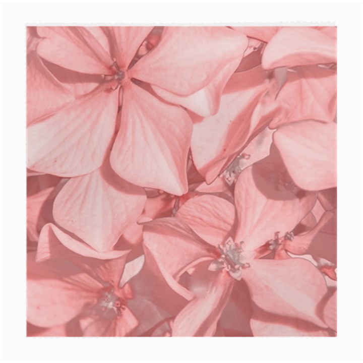 Coral Colored Hortensias Floral Photo Medium Glasses Cloth