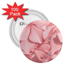 Coral Colored Hortensias Floral Photo 2 25  Buttons (100 Pack)  by dflcprintsclothing