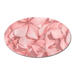 Coral Colored Hortensias Floral Photo Oval Magnet