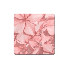 Coral Colored Hortensias Floral Photo Square Magnet