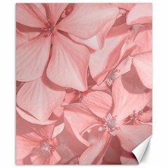 Coral Colored Hortensias Floral Photo Canvas 8  X 10  by dflcprintsclothing