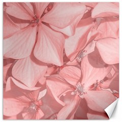 Coral Colored Hortensias Floral Photo Canvas 20  X 20 