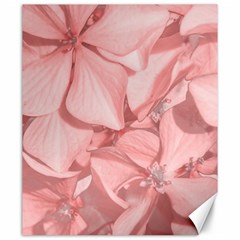 Coral Colored Hortensias Floral Photo Canvas 20  X 24  by dflcprintsclothing