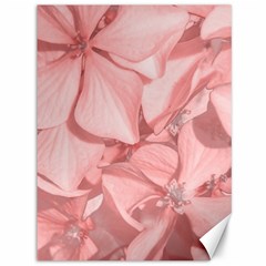 Coral Colored Hortensias Floral Photo Canvas 36  X 48  by dflcprintsclothing