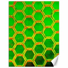 Hexagon Windows Canvas 18  X 24  by essentialimage