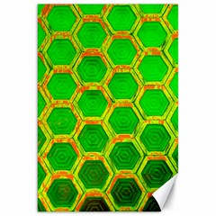 Hexagon Windows Canvas 20  X 30  by essentialimage