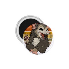 Possum  1 75  Magnets by Valentinaart