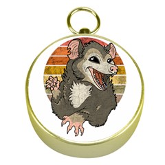 Possum  Gold Compasses by Valentinaart