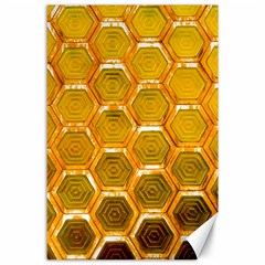 Hexagon Windows Canvas 24  X 36  by essentialimage