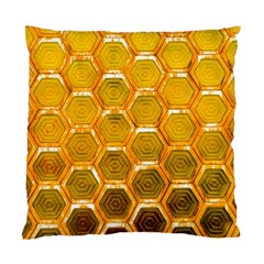 Hexagon Windows Standard Cushion Case (one Side) by essentialimage