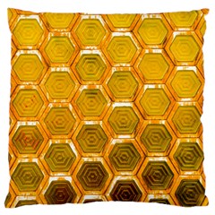 Hexagon Windows Large Cushion Case (two Sides) by essentialimage