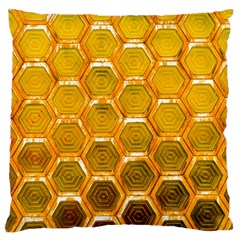 Hexagon Windows Standard Flano Cushion Case (two Sides) by essentialimage