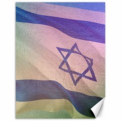 Israel Canvas 12  X 16  by AwesomeFlags