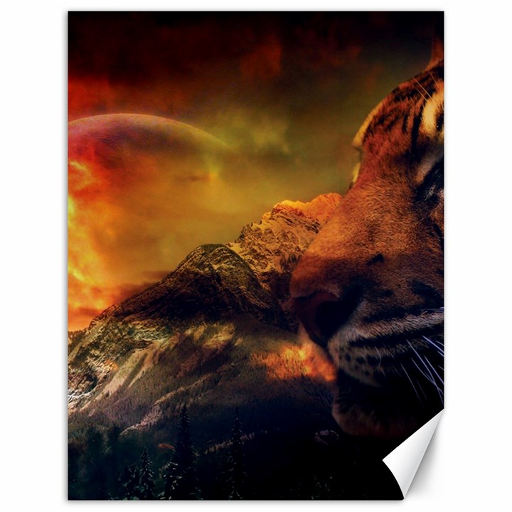 Tiger King In A Fantastic Landscape From Fonebook Canvas 12  x 16 