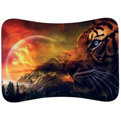 Tiger King In A Fantastic Landscape From Fonebook Velour Seat Head Rest Cushion