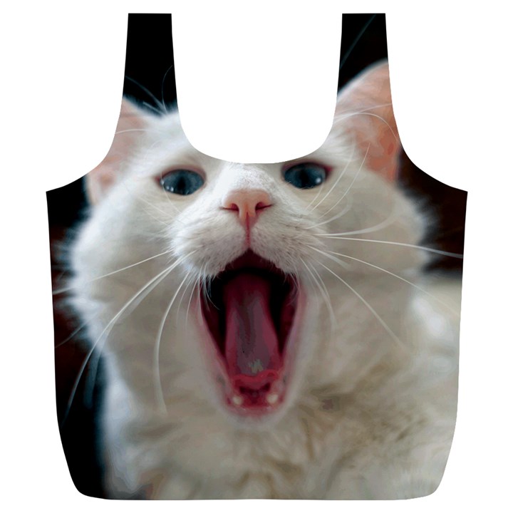 Wow Kitty Cat From Fonebook Full Print Recycle Bag (XL)