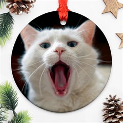 Wow Kitty Cat From Fonebook Ornament (round) by 2853937