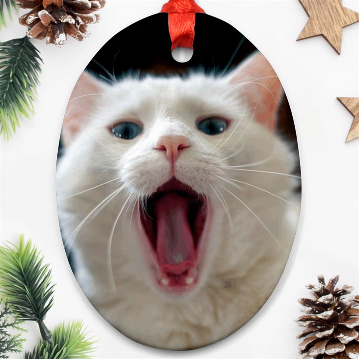 Wow Kitty Cat From Fonebook Ornament (Oval)