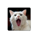 Wow Kitty Cat From Fonebook Square Magnet Front