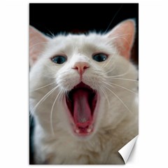 Wow Kitty Cat From Fonebook Canvas 20  X 30  by 2853937