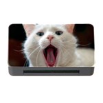 Wow Kitty Cat From Fonebook Memory Card Reader with CF Front