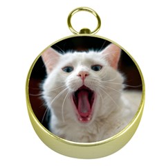 Wow Kitty Cat From Fonebook Gold Compasses by 2853937