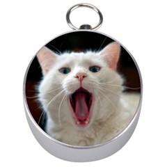 Wow Kitty Cat From Fonebook Silver Compasses by 2853937