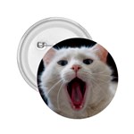 Wow Kitty Cat From Fonebook 2.25  Buttons Front