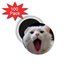 Wow Kitty Cat From Fonebook 1 75  Magnets (100 Pack)  by 2853937