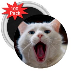 Wow Kitty Cat From Fonebook 3  Magnets (100 Pack) by 2853937