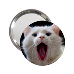 Wow Kitty Cat From Fonebook 2.25  Handbag Mirrors Front