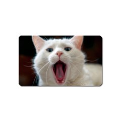 Wow Kitty Cat From Fonebook Magnet (name Card) by 2853937