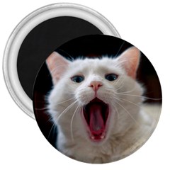 Wow Kitty Cat From Fonebook 3  Magnets by 2853937