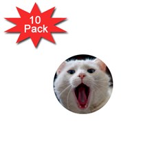 Wow Kitty Cat From Fonebook 1  Mini Magnet (10 Pack)  by 2853937