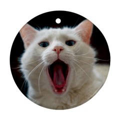 Wow Kitty Cat From Fonebook Round Ornament (two Sides) by 2853937